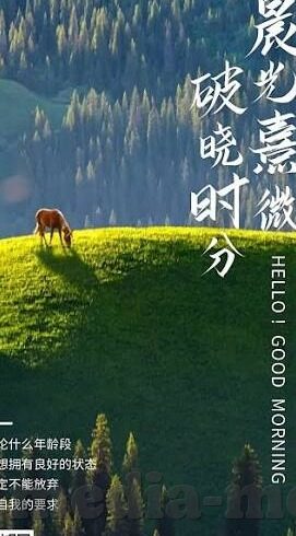 成人糖心vlog污-揭秘成人世界的小角落，成人糖心VLOG的深入了解
