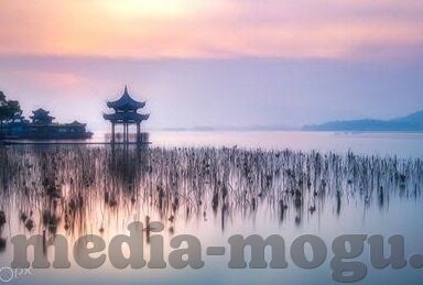 成人在线公开视频-成人在线公开视频，信息时代下的社会现象与影响