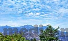 大象传媒APP下载-探索大象传媒APP，重塑娱乐与信息获取的新维度
