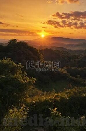 大象传媒站长工具-探索大象传媒站长工具的全面功能与价值