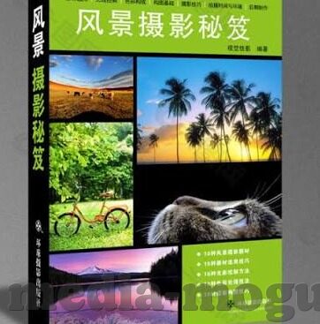 麻豆传媒招聘-麻豆传媒新篇章，创意与激情的招募启示