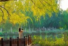 麻豆传媒最新视频-麻豆传媒影像新纪元，探寻创意与艺术的深度融合