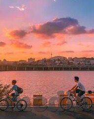 麻豆仙踪林果冻视频-一窥网络奇境，麻豆仙踪林果冻视频的虚拟探险