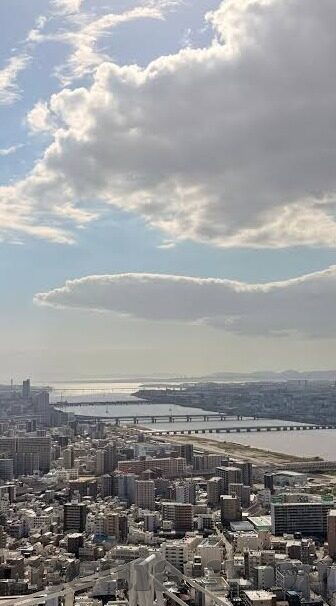 糖心app兑换码2022年-倾城之谜，2022年糖心app兑换码的独家揭秘