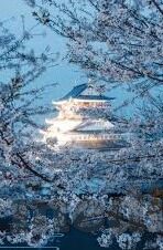 午夜麻豆激情传媒2021-当午夜遇上麻豆，2021年激情传媒的隐秘迷思